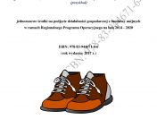 BIZNESPLAN produkcja butów wełnianych - rękodzieło  (przykład)