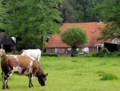 PRYWATNE pożyczki pod nieruchomości i Grunty Rolne i ruchomości