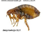 Dezynsekcja zwalczanie pluskwy ULV