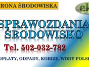 Wypełnienie raportu do Kobize, cena, tel. 504-746-203.