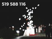 Łódz hel do balonów łodz balony z helem łodz brama z balonów łodz balony led