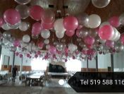 Bramy balonowe, girlandy, balony z helem, namioty imprezowe
