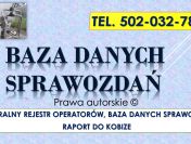 Sprawozdanie do Bazy Danych Sprawozdań, cena tel. 504-746-203. Obsługa firmy