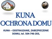 Pastuch, kuna, kuny, elektryczny, montaż, ochrona, odłowienie, cena