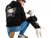 Ubranko dla Jack Russell Terrier L Pierrot Moda