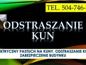 Odstraszanie kuny, tel. 504-746-203. Pastuch na dom, przeciw kunom