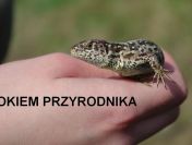 Ekspertyzy przyrodnicze - budowa domu, remonty elewacji, różne inwestycje.