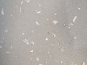 KONGLOMERAT KWARCOWY GRIS CENIZA CONHIGLIA 60x60x1,2 poler