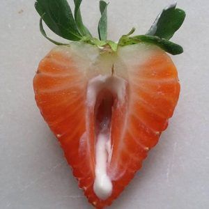 Wyliże i wyssam nektarek z twoich szparek (mąż nie musi wiedzieć)  - Zdjęcie 1