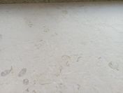 Marmur GIALLO ATLANTIDE pasy 1,5 cm mat