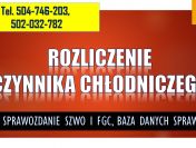 Rozliczenie czynnika chłodniczego. T. 504746203. Baza Danych Sprawozdań