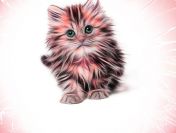 Koty z azylu do bezpłatnej adopcji!