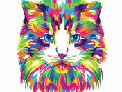 Adoptuj bezpłatnie koty z azylu!