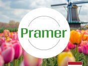 Produkcja artykułów higienicznych - jedna zmiana - Holandia - praca w Holandii