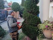 OGRODNIK jesienny serwis ogrodu, przycinanie drzew, ODNAWIANIE Trawnika
