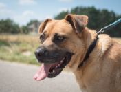 Aza - zakochana w ludziach, wesoła, pełna życia!