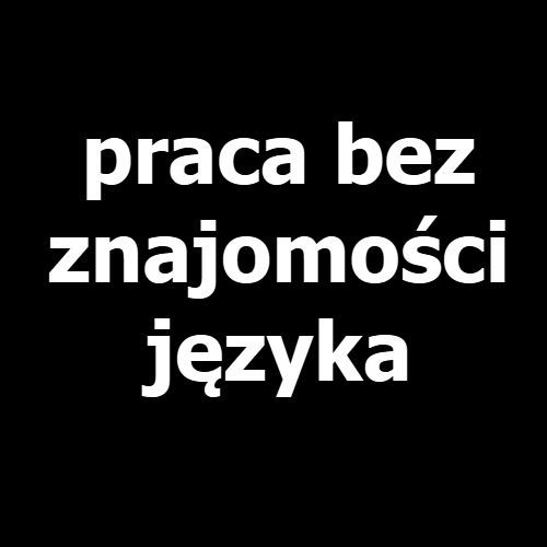 Elektromonter jachtowy (Holandia, Rotterdam)  - Zdjęcie 1