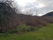 Uzbrojona działka w centrum Bóbrki obok Soliny, idealna pod parking!