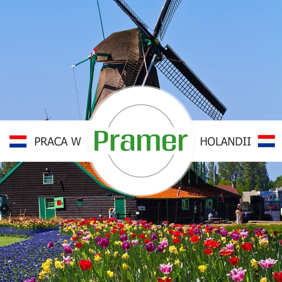 Pracownik produkcji / działu ekspedycji - praca w Holandii  - Zdjęcie 1