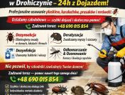 Usuwanie pluskiew – Drohiczyn i okolice