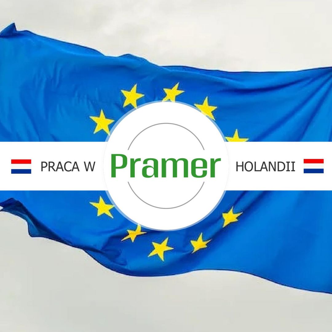 Mechanik jachtów - praca w Holandii  - Zdjęcie 1