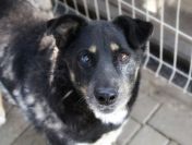 Babunia Perełka szuka swojego wymarzonego domu!