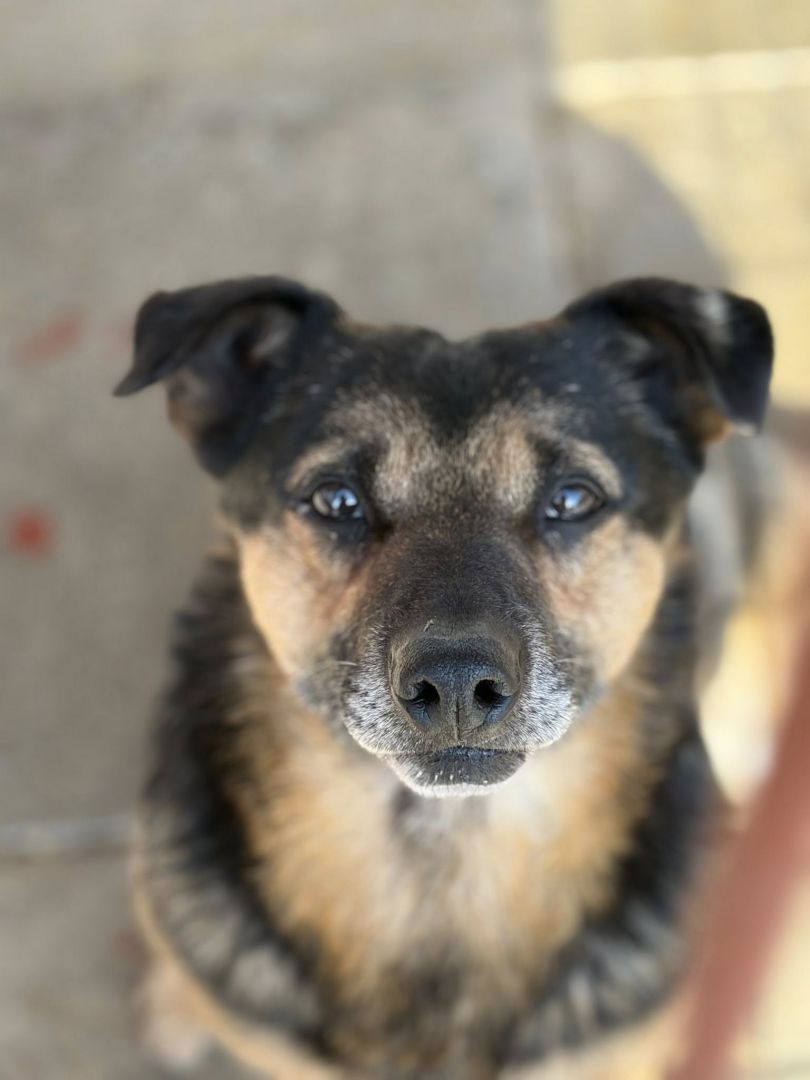 Edek - nigdy nikt go nie pokochał...  - Zdjęcie 1