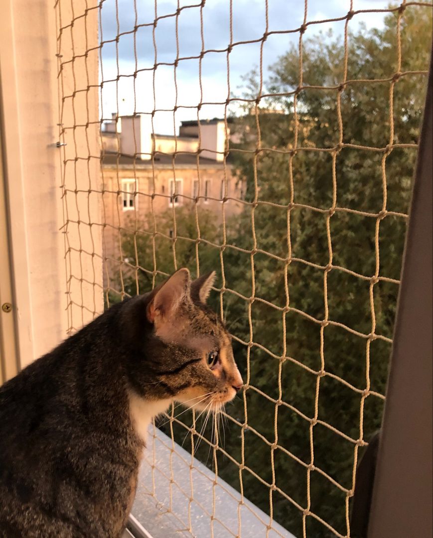 Siatka na balkon dla kota na gołębie Warszawa - Zdjęcie 1