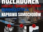 USŁUGI TRANSPORTU CIĘŻAROWEGO ROZŁADUNEK NAPRAWA I DIAGNOSTYKA ELTRAS