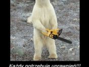 Kurs na piły spalinowe pilarki Warszawa