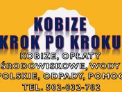 Szkolenia u klienta z Kobize, obowiązków ochrony środowiska, program, cena