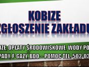 Raportowanie do Kobize, cennik tel. 502-032-782. Przygotowanie, rejestracja